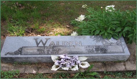 William Walden obituary: Young man dies in Monticello